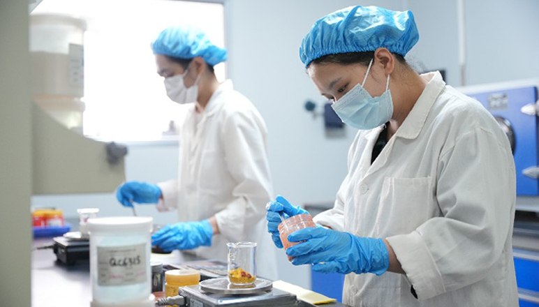 Longain Beauty Customization Services