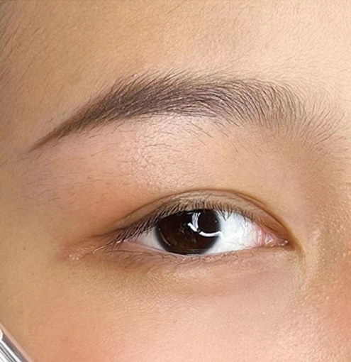 Deep Brown
